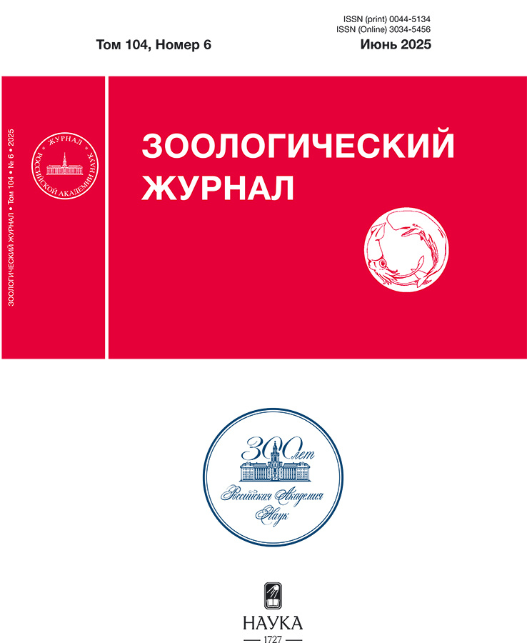 Логотип Заголовка Страницы